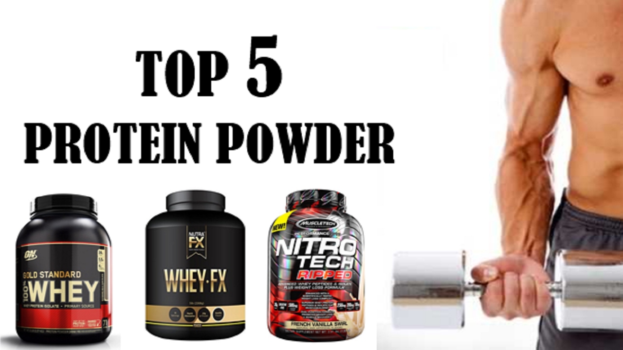 Top 5 Protein Powder for Muscle Building